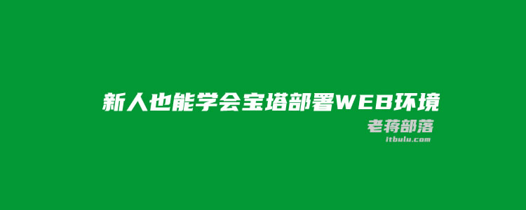 一篇文章帮新人入门Linux服务器搭建宝塔面板部署客户端脚本