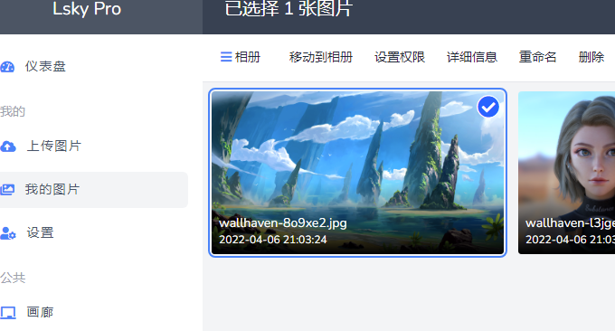 Lsky Pro兰空图床后台管理