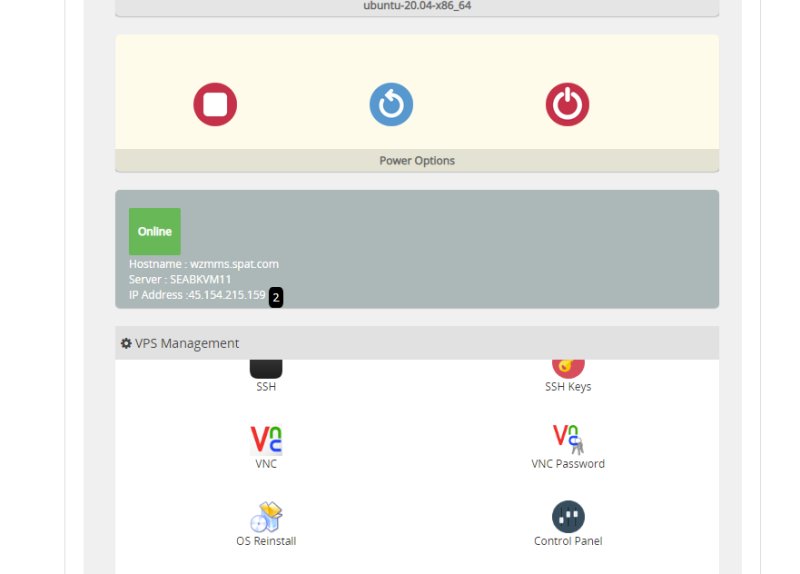 SpartanHost VPS查看流量