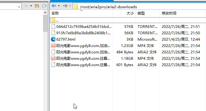 Aria2 Pro Docker下载路径