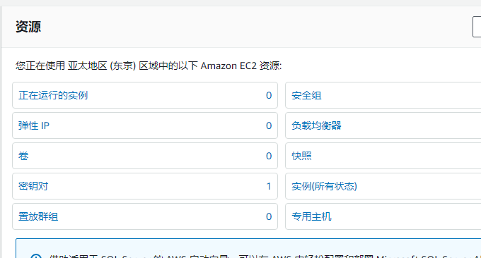 AWS VPS删除所有服务