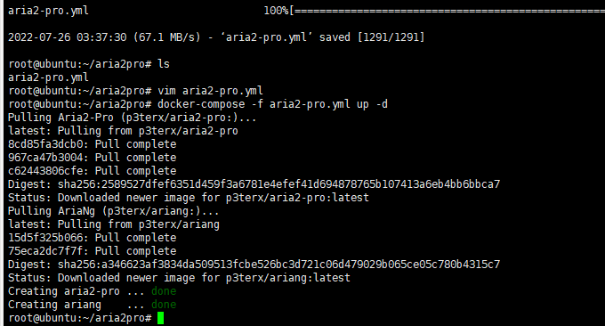 Aria2 Pro Docker安装成功