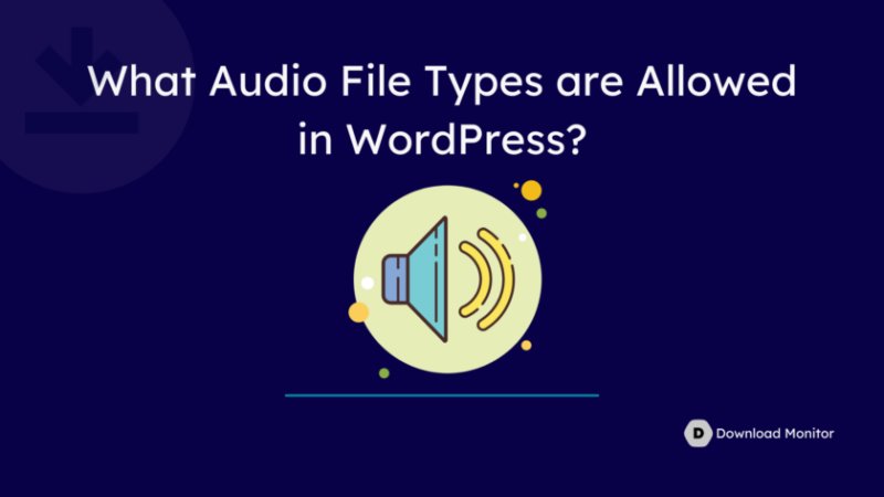 WordPress 允许哪些音频文件类型 - WordPress 允许的文件类型