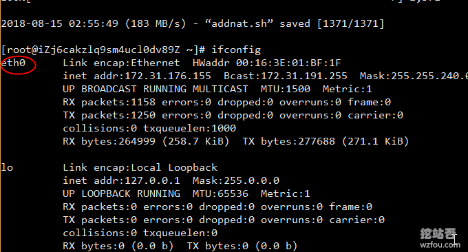 SolusVM NAT VPS查看网卡
