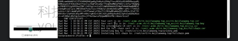 3X-UI或S-UI域名证书的续签问题以及面板无法登录如何顺利解决