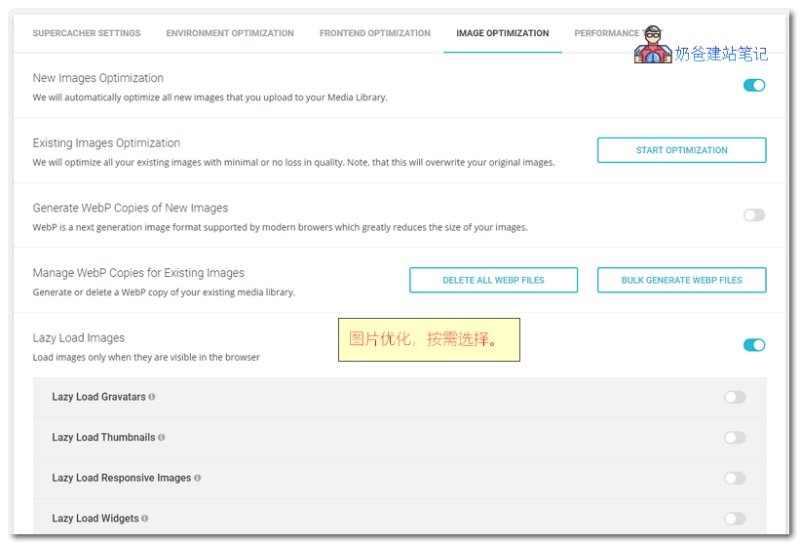 SG Optimizer设置截图