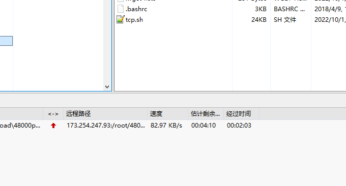 HostDare NVMe SSD VPS上传速度