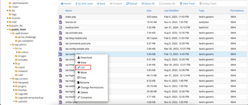 右键单击编辑 wp-config.php 文件,或将其下载到您的计算机 - WordPress 允许的文件类型