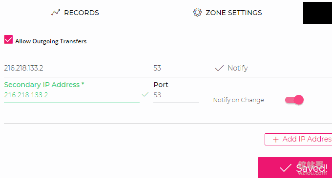 NS1 DNS打开记录传输