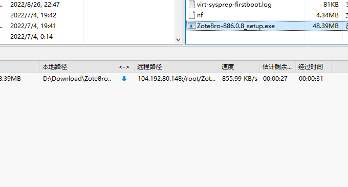 RAKsmart VPS下载速度