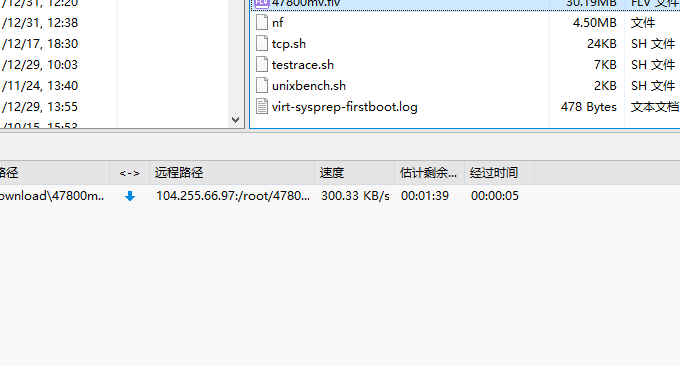 经典VPS荷兰联通高速线路下载