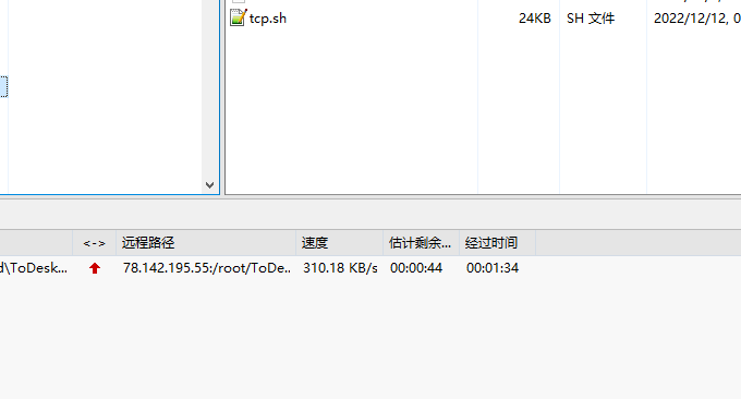 V.PS(vps.hosting) 上传速度