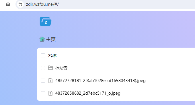 Zdir Pro域名成功访问