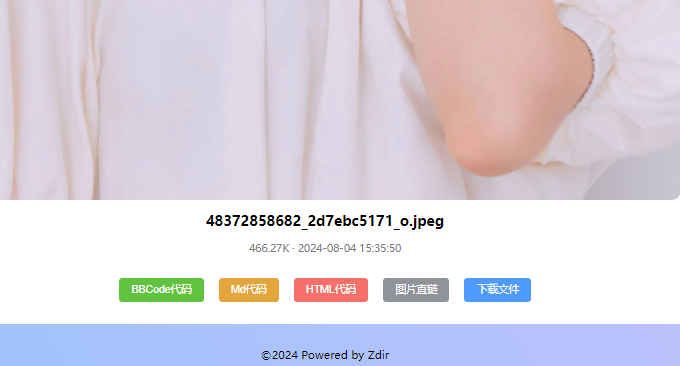 Zdir Pro代码