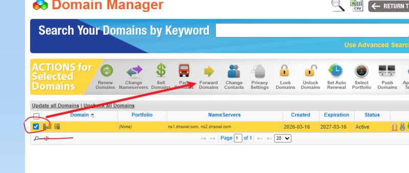 namesilo选择forward Domains