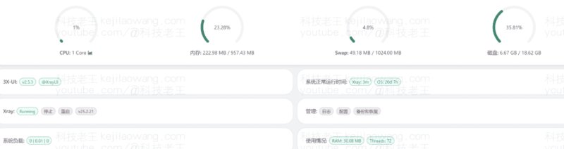 RackNerd VPS 最具性价比的服务器，约10美金/年 1Gbps/2000G/月