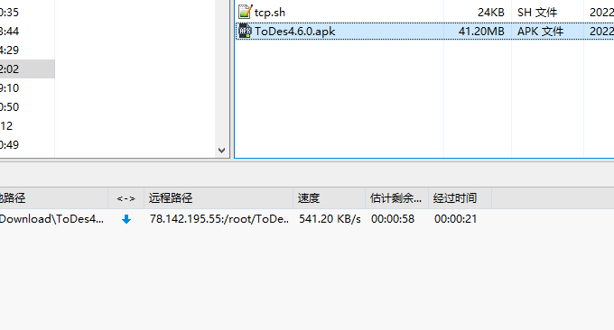 V.PS(vps.hosting) 下载速度