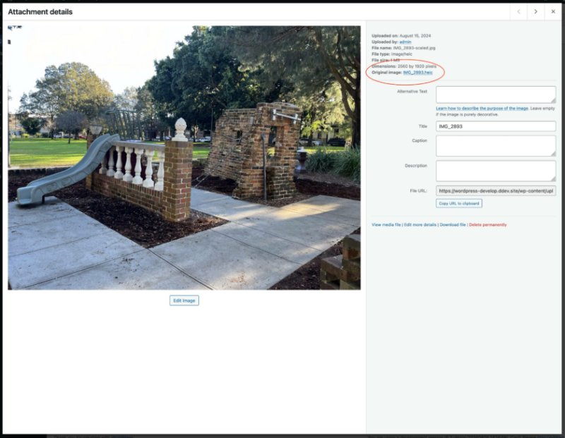 WordPress 附件的屏幕截图,其中“原始图片”字段被圈出