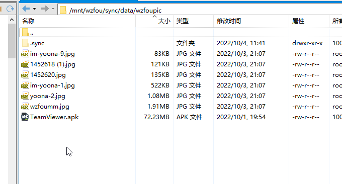 Resilio Sync双向读写