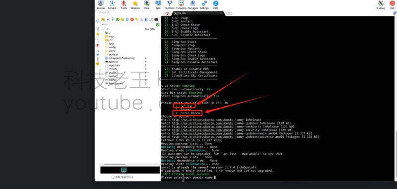 3X-UI或S-UI域名证书的续签问题以及面板无法登录如何顺利解决