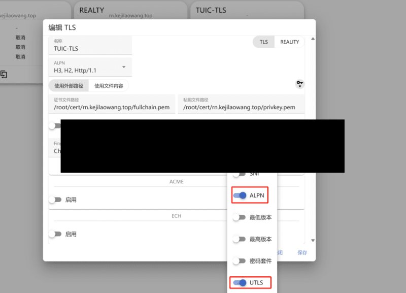 使用 S-UI 面板搭建 TUIC 加密方式科学上网