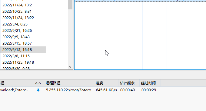 Liteserver下载