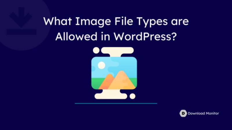 WordPress 允许哪些图像文件类型?- WordPress 允许的文件类型