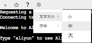 文字大小