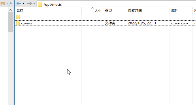 Koel Docker本地存储