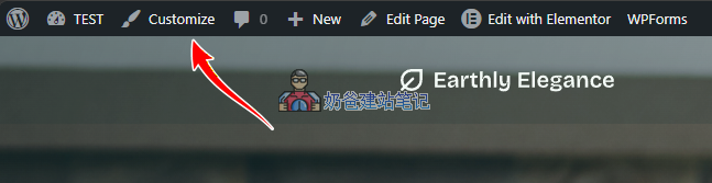 主题自定义入口