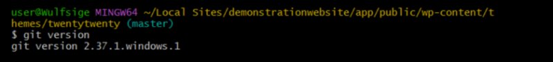Git 版本命令返回已安装的 Git 版本号