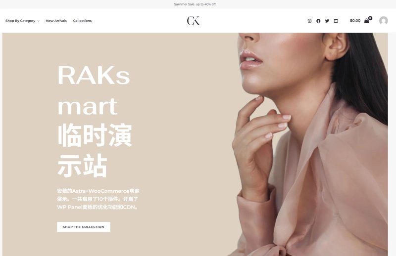 演示站截图