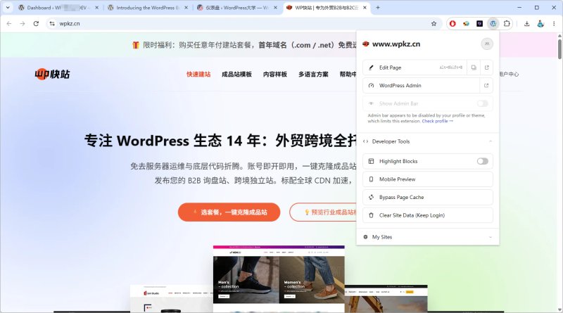 说说无聊的 WordPress 浏览器扩展 - WordPress Browser Extension 0
