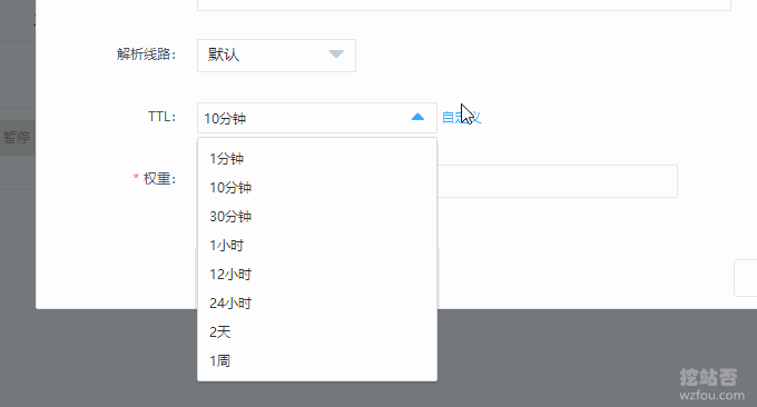 京东云DNS设置TTL时间