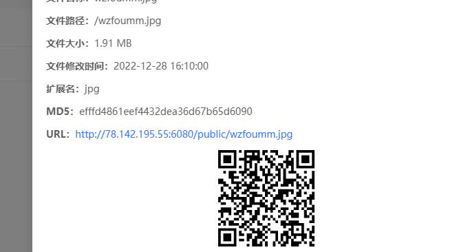 Zdir 3实际界面