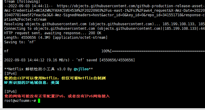RAKsmart VPS在线NF