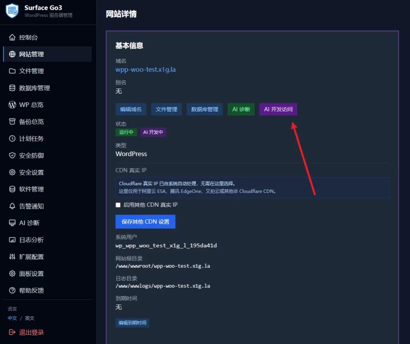 WP Panel AI开发访问授权