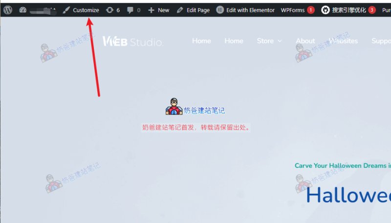 网站主题自定义
