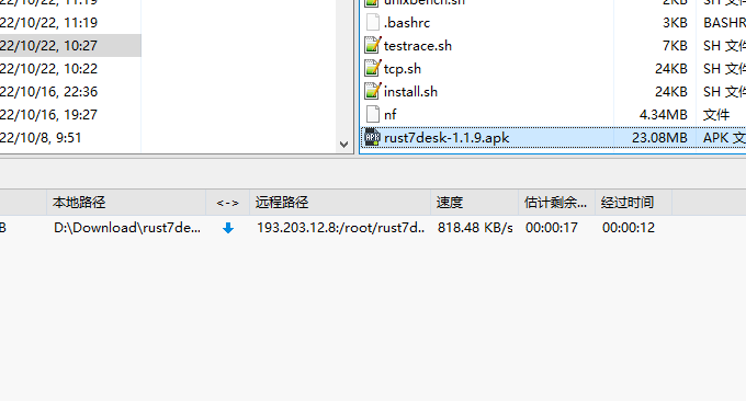 DediPath美国VPS下载速度