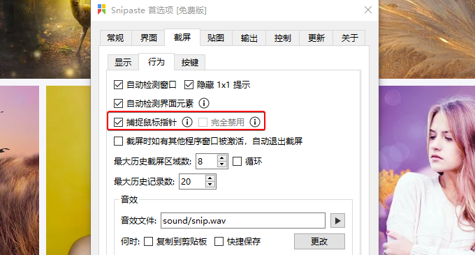 Snipaste软件设置