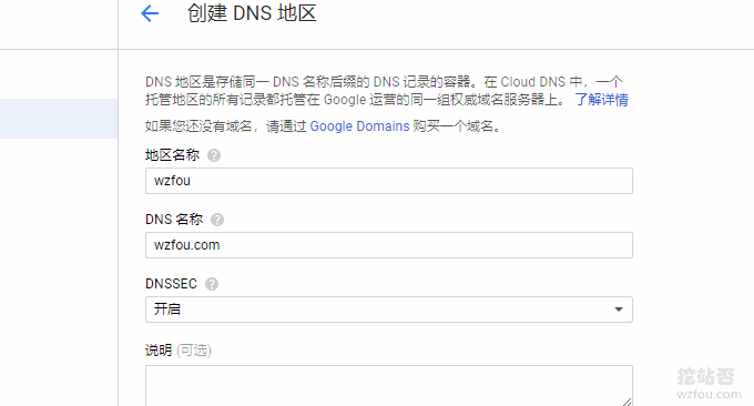 Google Cloud DNS是否开启
