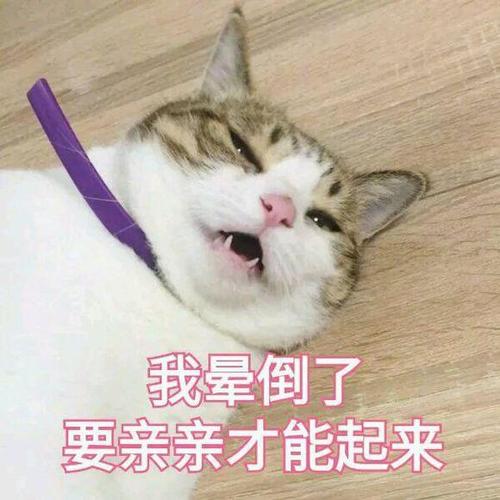 1_1