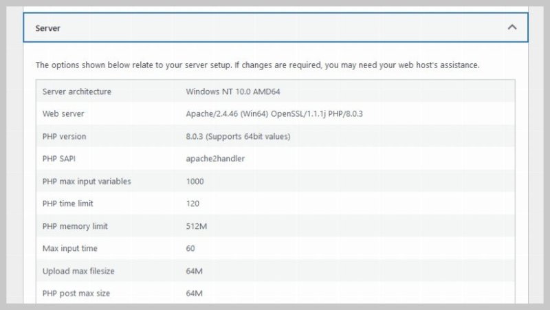 WordPress 网站健康信息