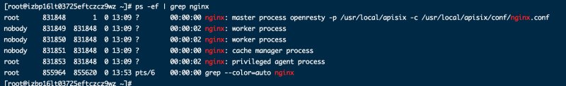 grep_apisix