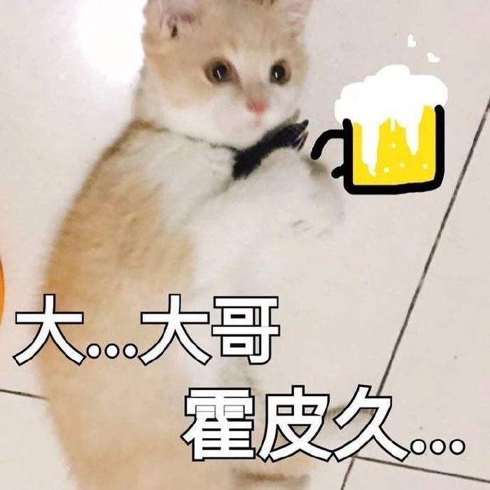 1_1