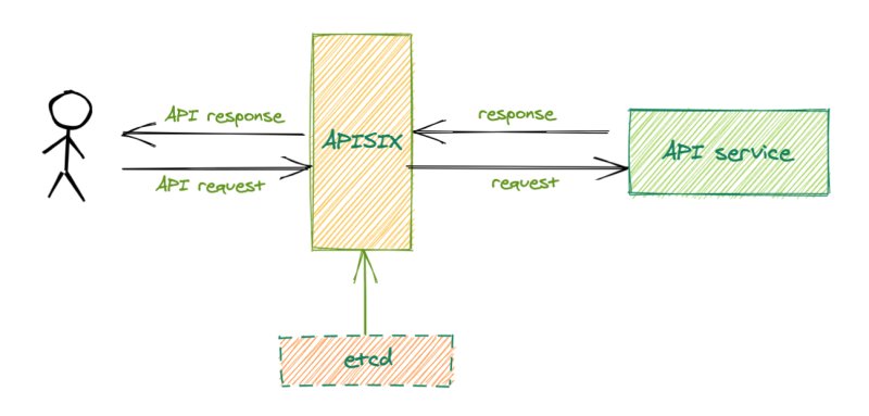 apisix_process
