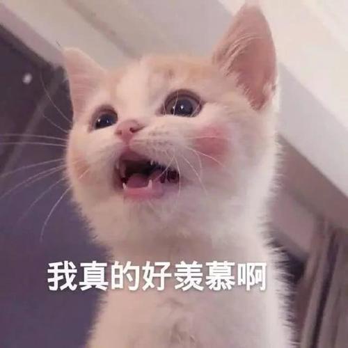 1_1
