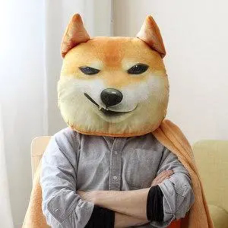 1_1