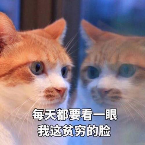 1_1