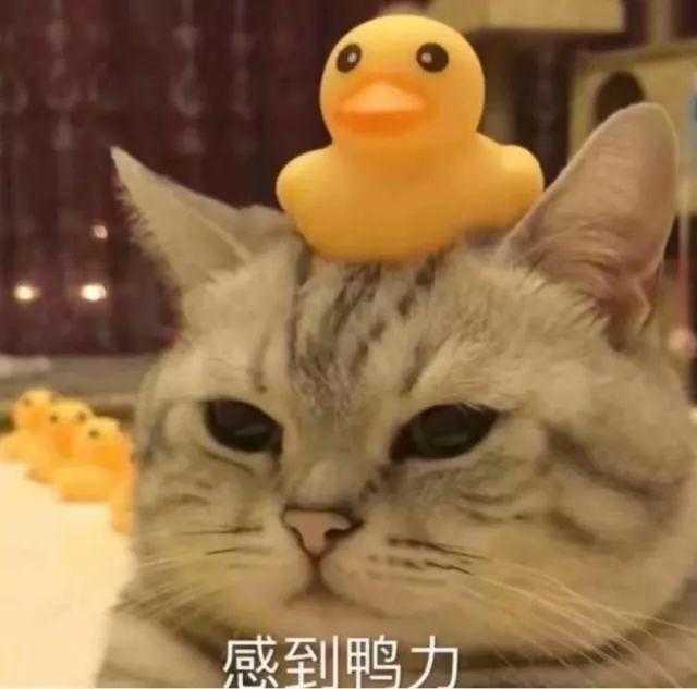 1_1